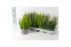 Calluna vulg. skyline mix Skyline Trio - 20cm Diameter 