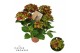Hydrangea Hi Road Hydrangea Hi Road lila 5/6 flowers 5 bl. 