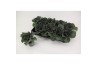 Brassica oleracea glad rood