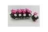 Cyclamen Super Serie Odora Neon Flamed Cyclaam Odora Neon Flamed 20 cm