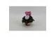 Cyclamen Super Serie Odora Neon Flamed Cyclaam Odora Neon Flamed 20 cm 