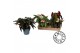 Begonia maculata mix must have 
