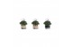 Cyclamen pers. midi super serie allure Collectie "Bubbles & wine" Cycl 