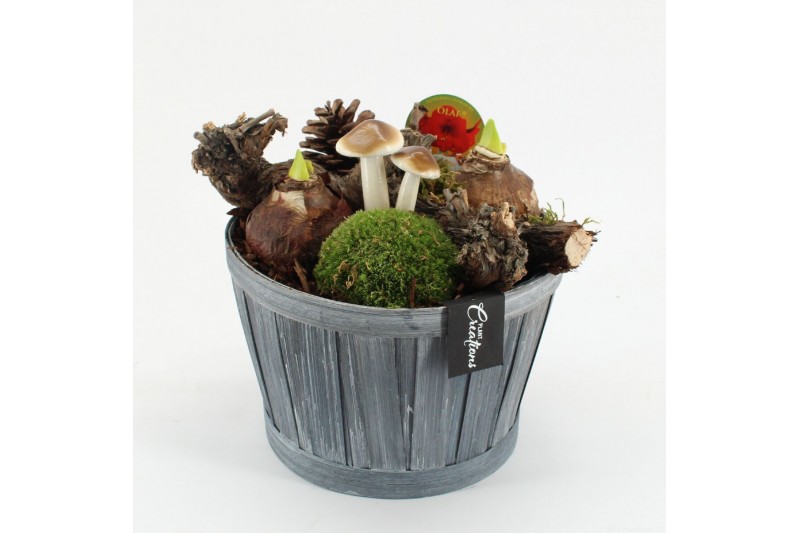 Arrangementen hippeastrum HACR-2523R Amaryllis Herfst 2 pp 