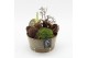 Arrangementen hippeastrum HACR-2507W Amaryllis Herfst 1 pp 