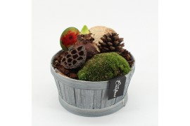 Arrangementen hippeastrum HACR-2522R Amaryllis Herfst 1 pp