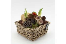 Arrangementen hippeastrum HACR-2516R Amaryllis Herfst 2 pp