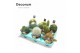 Cactus mix 10 soorten (Decorum) 