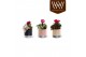 Arrangementen kamerplanten Collectie "Bubbles & wine" - Arrangement in 