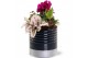 Arrangementen kamerplanten Collectie "Bubbles & wine" - Arrangement in 