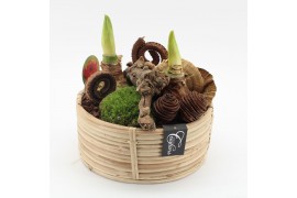 Arrangementen hippeastrum HACR-2510R Amaryllis Herfst 2 pp