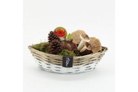 Arrangementen hippeastrum HACR-2520R Amaryllis Herfst 1 pp