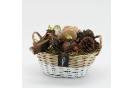Arrangementen hippeastrum HACR-2521W Amaryllis Herfst 2 pp