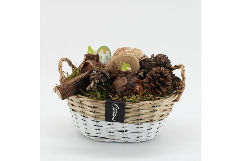 Arrangementen hippeastrum HACR-2521W Amaryllis Herfst 2 pp 