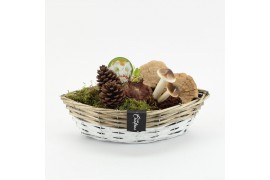 Arrangementen hippeastrum HACR-2520W Amaryllis Herfst 1 pp