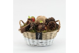 Arrangementen hippeastrum HACR-2521R Amaryllis Herfst 2 pp