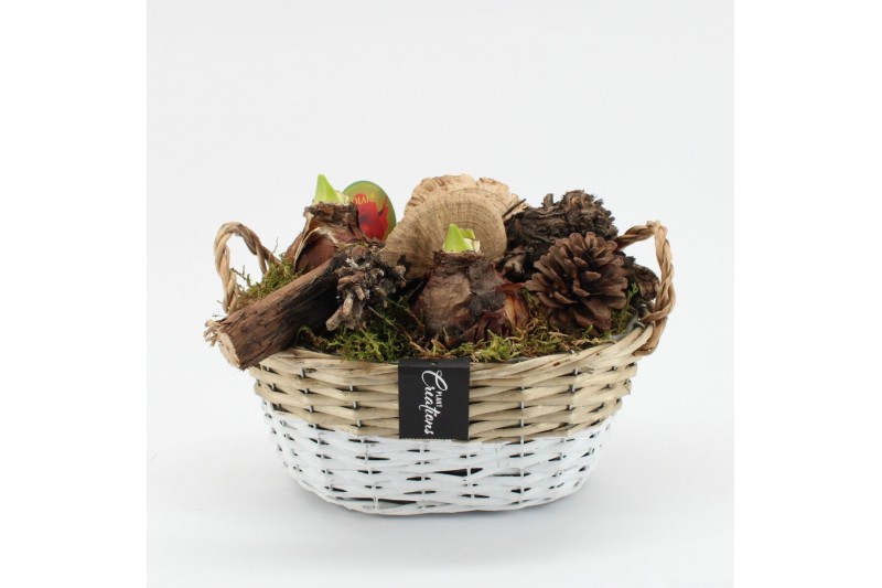Arrangementen hippeastrum HACR-2521R Amaryllis Herfst 2 pp Arrangementen hippeastrum HACR-2521R Amaryllis Herfst 2 pp