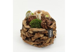 Arrangementen hippeastrum HACR-2519W Amaryllis Herfst 2 pp