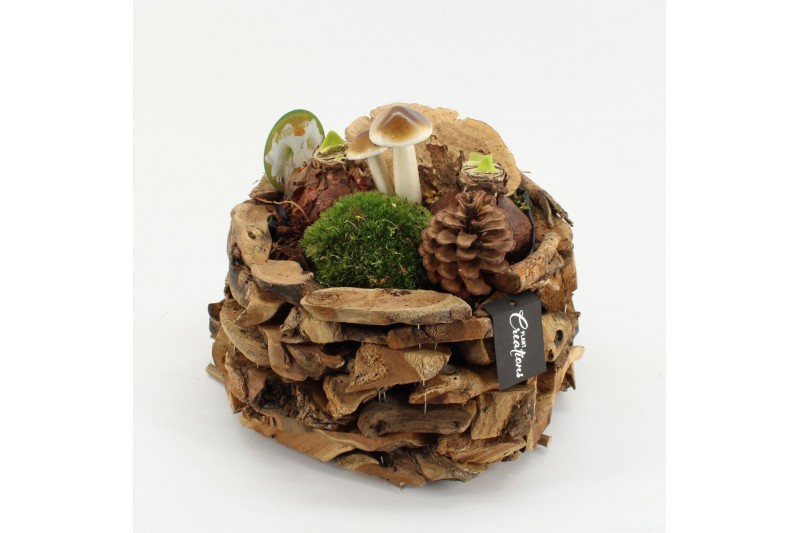 Arrangementen hippeastrum HACR-2519W Amaryllis Herfst 2 pp 