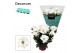 Chrysant breeze white indicum decorum 