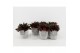 Peperomia caperata rosso in stone look pot 