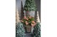 Schlumbergera oranje decorum in hoes 