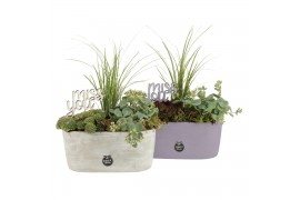Arrangementen tuinplanten 41648: All saints arrangement 3 pp
