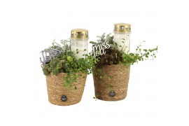 Arrangementen tuinplanten 41655: All saints arrangement 3 pp