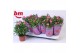 Rosa sparkling jewel roze 