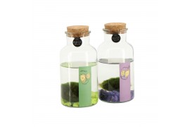 Arrangementen waterplanten 83292: Halloween arrangement 1 pp
