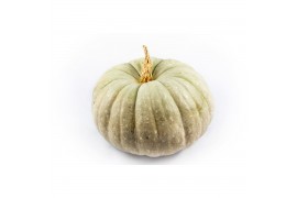 Cucurbita cucurbita pepo jarrahdale 2 (1041)