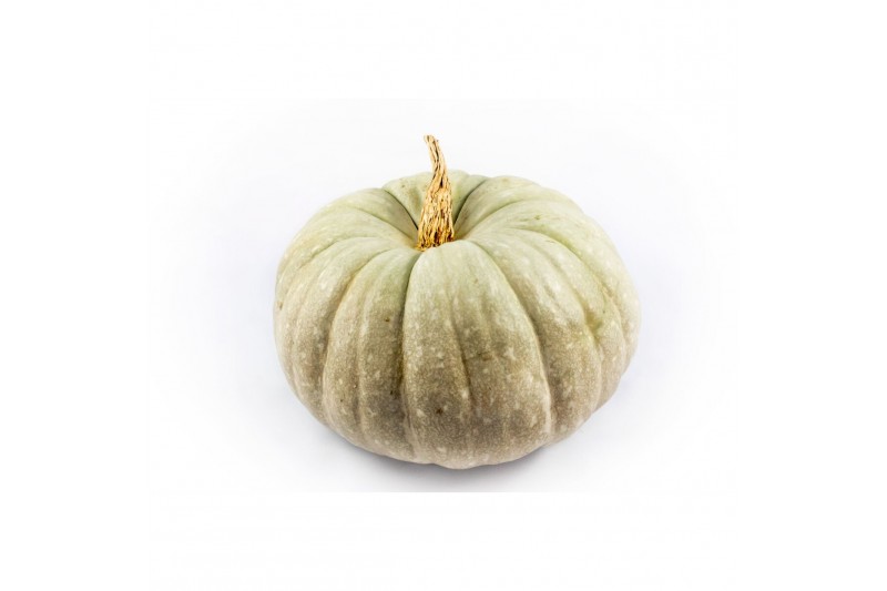 Cucurbita cucurbita pepo jarrahdale 2 (1041) 