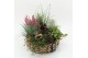 Arrangementen tuinplanten AHCR-2508 Allerheiligen 6 pp 