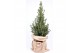 Picea glauca conica in jute zak 