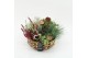 Arrangementen tuinplanten AHCR-2507 Allerheiligen 5 pp 