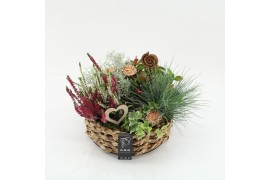 Arrangementen tuinplanten AHCR-2507 Allerheiligen 5 pp