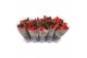 Euphorbia pul. superba new glitter 
