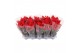 Euphorbia pul. jester red 