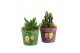 Arrangementen kamerplanten 83287: Halloween arrangement 1 pp 