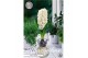 Hyacinthus Glas Hyacinthus Orientalis White Pearl x 3 18/19 