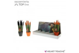 Sansevieria cylindrica keramiek