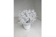 Leucophyta brownii challenge Calocephalus met sneeuw en glitter 
