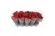 Euphorbia pul. christmas mouse 