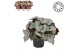 Begonia blad rex hawaiian silver beleaf must have 