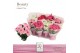 Euphorbia pul. princettia mix 5+ Bloem, DolcAmore® 