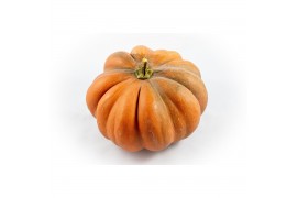 Cucurbita Muscat de Provence 2 (1043)