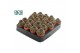 Cactus mix 3 soorten Lobivia van der Hoeven 