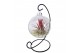Tillandsia arrangement Christmas ball hanger mix 