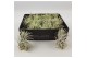 Tillandsia ionantha snow 