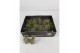 Tillandsia tillandsia ionantha groen met zilver glitter 1 bl. 